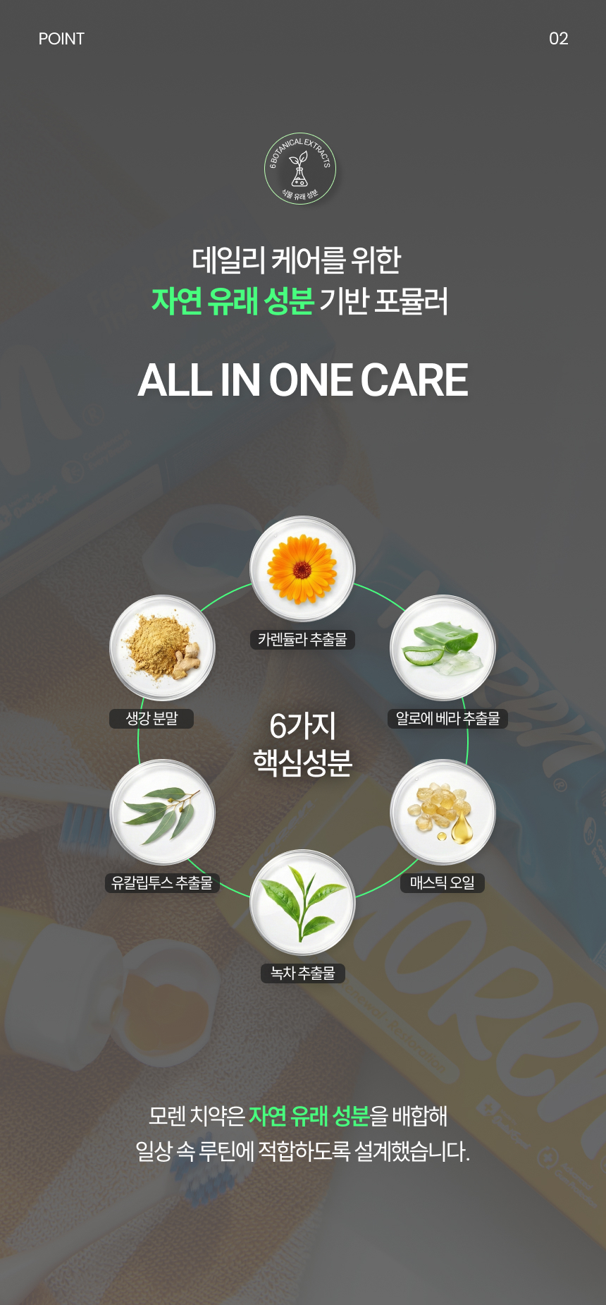 6P. Point 02.jpg